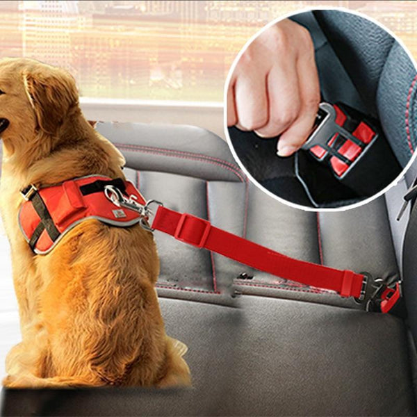 Dog Safety Seat Belt