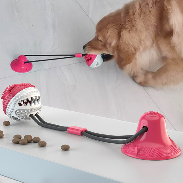 Dog Chew Ball + Dental Cleaning