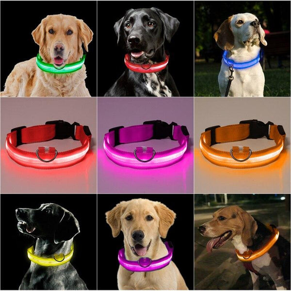 LED USB leuchtendes Hunde Halsband