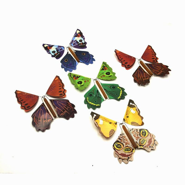 The magically flying butterfly (5 pieces)