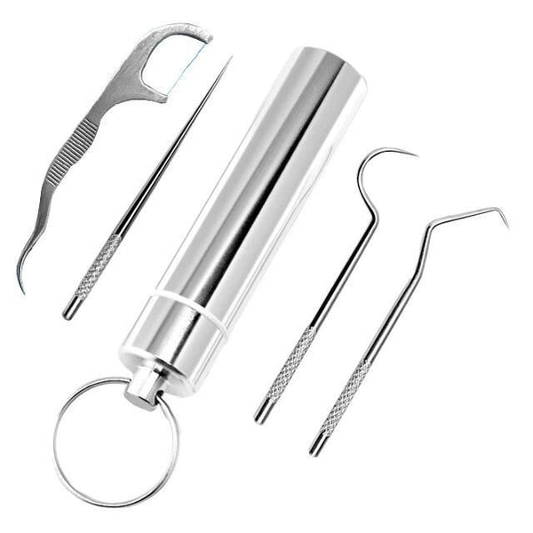 Stainless Steel Toothpick Set for Keychain (4-piece)