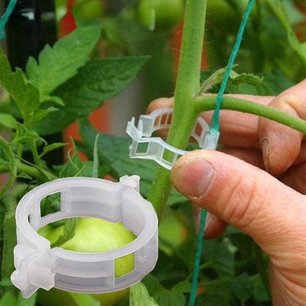 Wiederbenutzbare Pflanzenstützen Tomatenklammern Clips