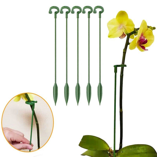 Plant support perennial holder shrub support orchid stake (5 pieces)