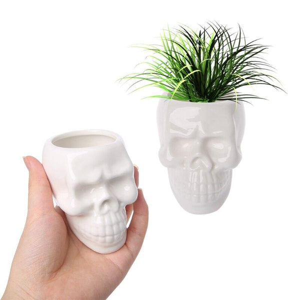 Skull Flower Pot