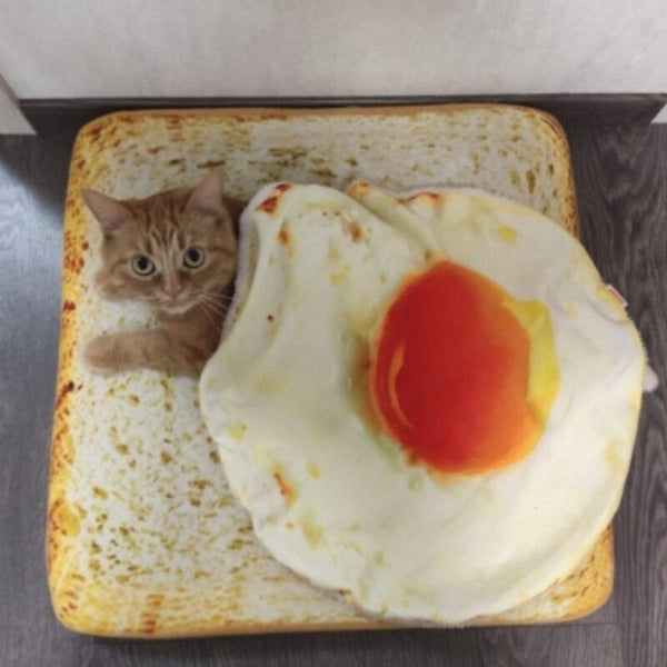 Toast Cat Bed + Fried Egg Blanket